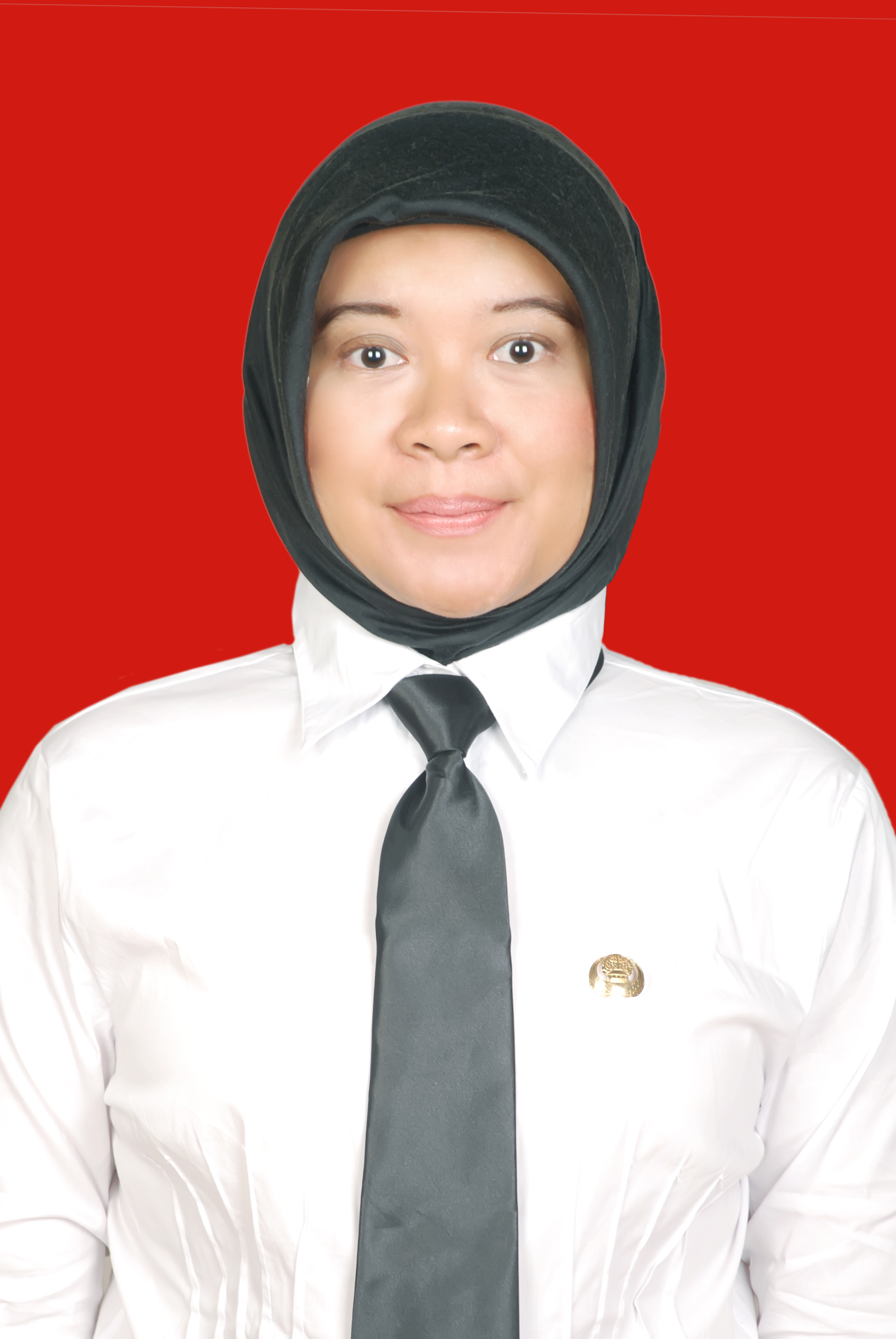https://web.pakki.org/storage/anggota/bageur-240305092741.jpeg