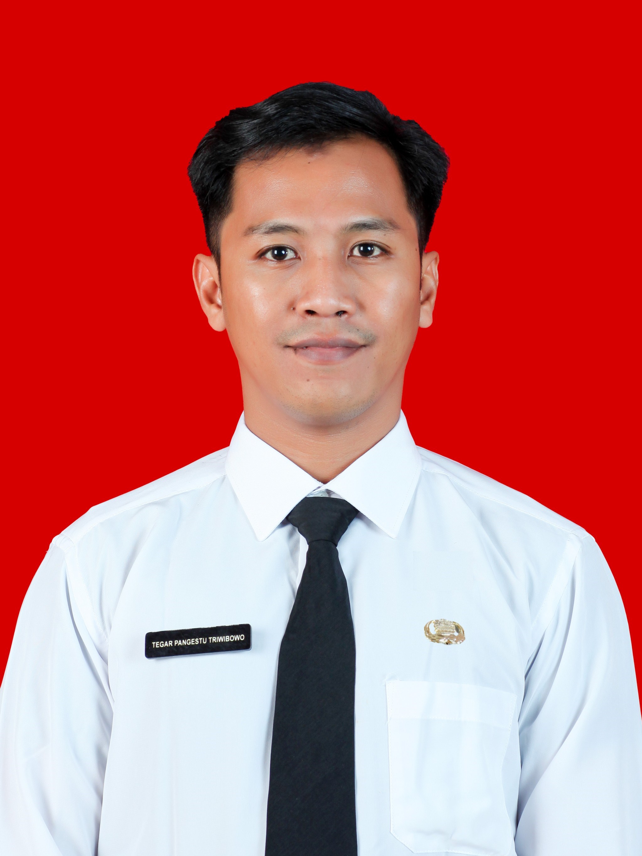 https://web.pakki.org/storage/anggota/bageur-240313031106.jpeg